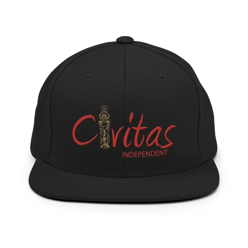 Color Logo Snapback